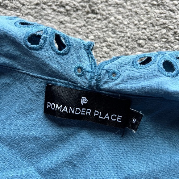 Tuckernuck Pomander Place French Blue Eyelet Babydoll Mini Dress - Picture 4 of 6